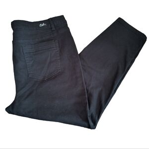 Earl Black Embroidery Embellished Skinny Ankle Jeans Size 22W